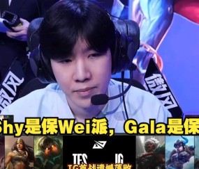 爱游戏娱乐网址 -TheShy新星爆冷表现突出，TES前途光明！(theshy为什么加wbg战队)