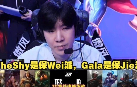 爱游戏娱乐网址 -TheShy新星爆冷表现突出，TES前途光明！(theshy为什么加wbg战队)